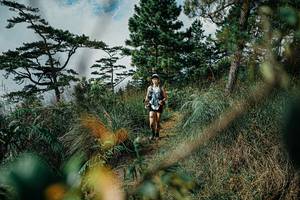 BIB: 
                            <button type="button" onclick="openModal(25259887)" class="btn btn-primary btn-sm float-right btn-popup" data-toggle="modal" data-target=".modal-high-quality">
                        <i class="fas fa-shopping-cart"></i> Add to Cart
                    </button>
                                            <button type="button" onclick="isThisMe(25259887, true)" class="btn btn-success btn-sm float-right btn-popup btn-isme hidden" data-toggle="tooltip" data-placement="bottom" title="นี่คือรูปของคุณใช่ไหม คลิกที่นี่เพื่อเอาเข้าอัลบั้ม">
                        <i class="fas fa-plus"></i> Add to album
                    </button>
                    <button type="button" onclick="isThisMe(25259887, false)" class="btn btn-warning btn-sm float-right btn-popup btn-isnotme hidden">
                        <i class="fas fa-ban"></i> Remove from album
                    </button>